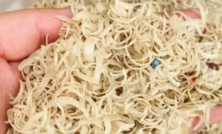 تركي يجمع أظافره المقصوصة على مدى 12 عامًا ويبيعها بالكيلوغرام