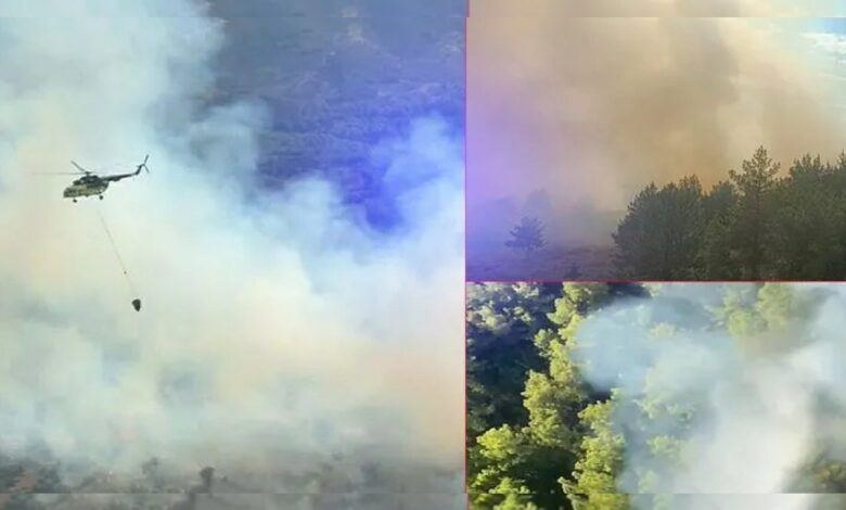 حرائق غابات بثلاث ولايات تركية تحاصر فرق الإطفاء.. 13 مروحية و8 طائرات في الجبهة
