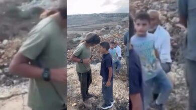 رغم المضايقة والهجوم بالعصي.. طفل فلسطيني يتمسك بأرضه في سنجل
