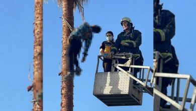 وفاة رجل بقلبه فوق نخلة في أنطاليا وعلقت جثته بالشجرة