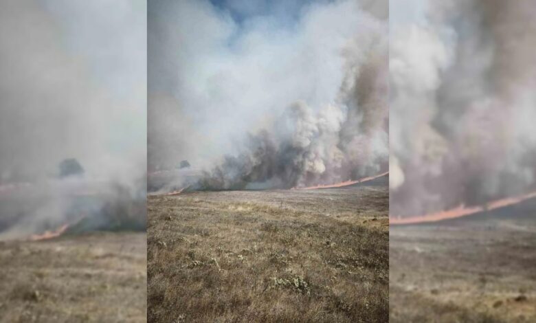 حريق قرب بورصة يلتهم مساحات غابات وفرق الإطفاء تكافح من الجو والبر