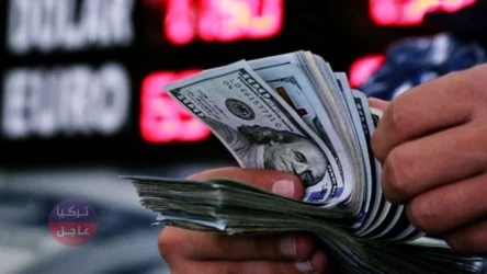الدولار سينخفض إلى ما دون 10 ليرات تركية مع نهاية العام