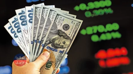 الليرة التركية تنخفض.. 100 دولار كم ليرة تركية تساوي الأربعاء 12.04.2023