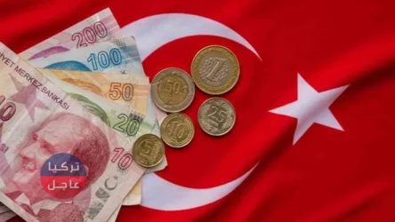 انخفاض الليرة التركية يقربها من 29 ليرة للدولار الواحد اليوم 21 نوفمبر