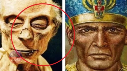 صبر عليه موسى 40 عاماً .. فرعون لم يكن مصرياً بل من شعب ذو أصول متعددة تعرف على أصل وهوية فرعون