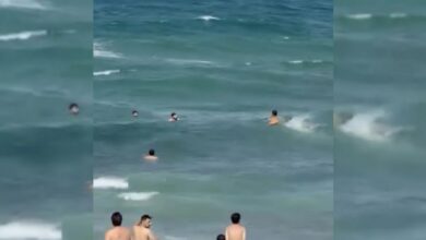 عاجل | لحظة إنقاذ مواطن من الغرق على شاطئ كارابورون في إسطنبول