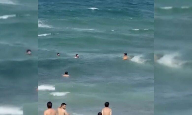 عاجل | لحظة إنقاذ مواطن من الغرق على شاطئ كارابورون في إسطنبول