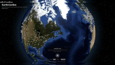 Earth Garden تحوّل أصوات الطبيعة إلى رحلة تفاعلية حول العالم