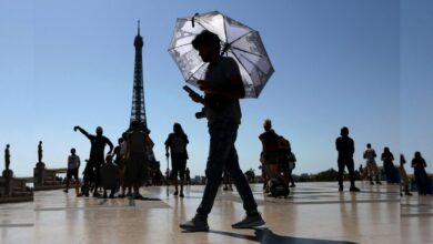 الجفاف وموجات الحر يخفضان النمو في فرنسا 0.1% ويضربان محصول الذرة