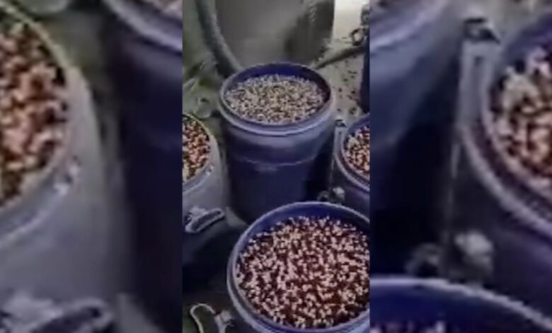 عاجل | مليار ليرة داخل معملي مخدرات.. 5 موقوفين في مانيسا ومرسين