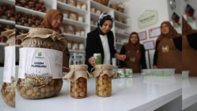 عاجل | نساء تركيات يعيدن إحياء مخلل العنب المنسي وحصلن على تسجيل جغرافي