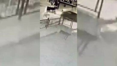 سيارة تتجاوز الحواجز وتصطدم بالطابق الثالث قبل سقوطها 15 مترًا في إسطنبول