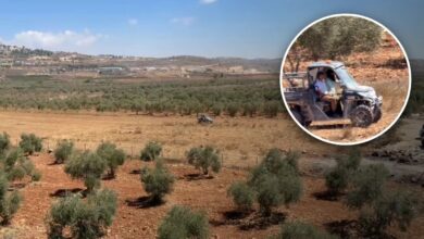 بعدما وصفهم بـ"عصابة مغتصبة".. السفير الأمريكي لدى إسرائيل ينشر فيديو اقتحام مستوطنين لبلدة ترمسعيا