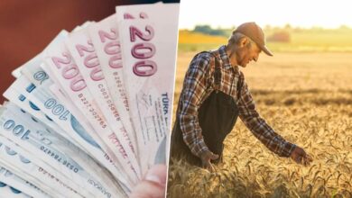 تركيا تخصص 844.5 مليون ليرة دعماً لقطاع الزراعة ضمن IPARD-III