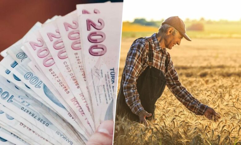 تركيا تخصص 844.5 مليون ليرة دعماً لقطاع الزراعة ضمن IPARD-III