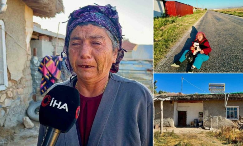 بعدما عرّضت الطريق للخطر وأقلقت قريتها.. نقل شابة إلى دار رعاية في تركيا