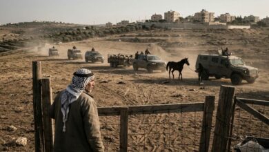 مستوطنون إسرائيليون يستولون على 300 خروف وحصان عربي أصيل من مزرعة شرق رام الله