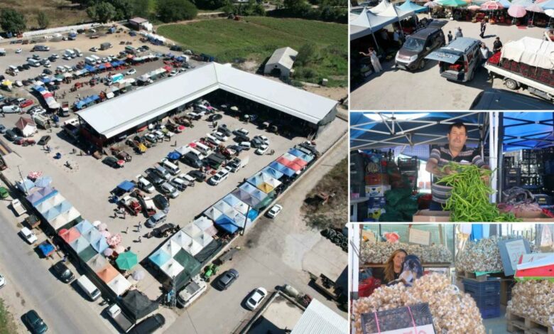 في تركيا.. مركز بصقاريا ينقل المنتجات من الحقل إلى البسطة خلال 10 دقائق