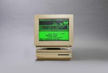 من لعبة صفية قاسية إلى أيقونة جيلية.. كيف صمد «The Oregon Trail»؟