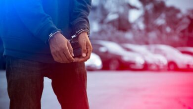 عملية تهريب تمتد إلى 7 ولايات تركية.. اعتقال نصف الموقوفين