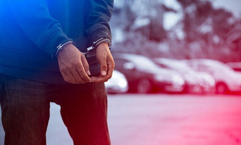 عملية تهريب تمتد إلى 7 ولايات تركية.. اعتقال نصف الموقوفين