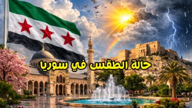 خلايا رعدية تضرب 4 مدن ساحلية سورية.. وتحذيرات من الصواعق وامتداد الأمطار إلى دمشق