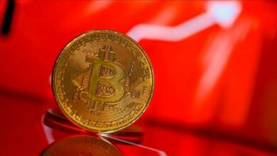 بيتكوين تتجاوز 84 ألف دولار وتبلغ أعلى مستوى في 8 أشهر.. ما الذي تكشفه تدفقات الصناديق؟