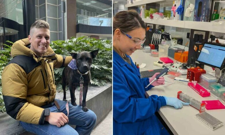 لقاح mRNA صُمم بالذكاء الاصطناعي لكلبة أسترالية قلّص أورامها 75%.. ثم وصلت حالتها إلى مرحلة متقدمة