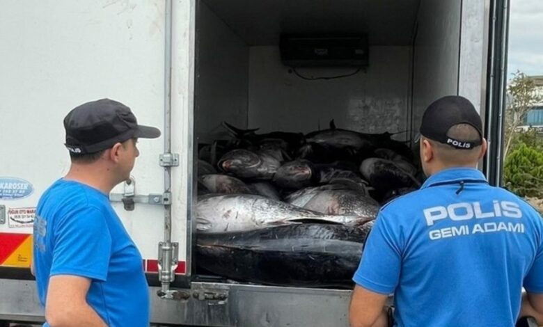 ضبط 3 أطنان من التونة المصطادة بصورة غير قانونية في إزمير.. ولا تفاصيل عن المخالفين