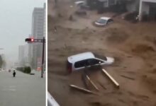 إعصار دوجوان يرفع حصيلة ضحايا اليابان إلى 9.. و4 أشخاص ما زالوا مفقودين