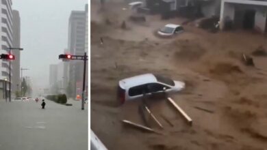 إعصار دوجوان يرفع حصيلة ضحايا اليابان إلى 9.. و4 أشخاص ما زالوا مفقودين