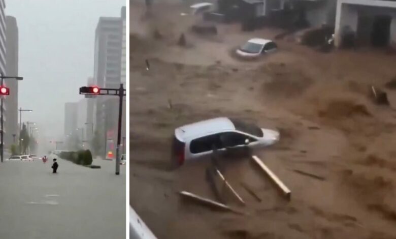 إعصار دوجوان يرفع حصيلة ضحايا اليابان إلى 9.. و4 أشخاص ما زالوا مفقودين