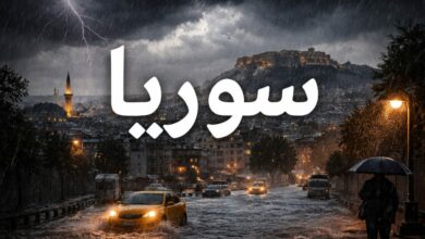 ضباب كثيف يهدد طرق سوريا ليلًا وصباحًا.. ورياح تتجاوز 50 كيلومترًا