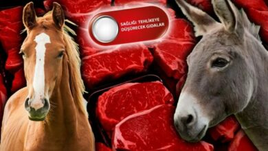 قائمة تركية تكشف بيع لحوم خيل وحمير على أنها لحم بقري مفروم في مرسين