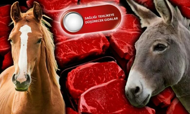 قائمة تركية تكشف بيع لحوم خيل وحمير على أنها لحم بقري مفروم في مرسين