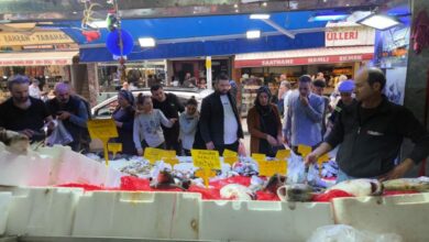 وفرة البونيت في تركيا تهبط بسعر السمكة إلى 90 ليرة.. وبعض المشترين يخزّنون 50 سمكة
