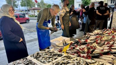 البونيتو يتصدر أسواق طرابزون التركية.. والطقس الدافئ يربك المشترين بشأن طزاجته