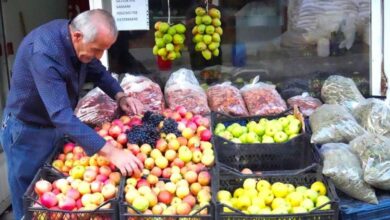 فاكهة موش المحلية لا تبقى في أسواقها: 70% منها يُرسل إلى ولايات تركية