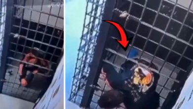 فرّ من زنزانته عبر القضبان في البرازيل.. ثم التقط حذاءه