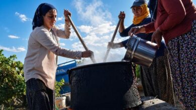 بدأ إنتاج أوريجيك كماليه.. حبات جوز تُغمس في شراب التوت والطلب يتجاوز تركيا