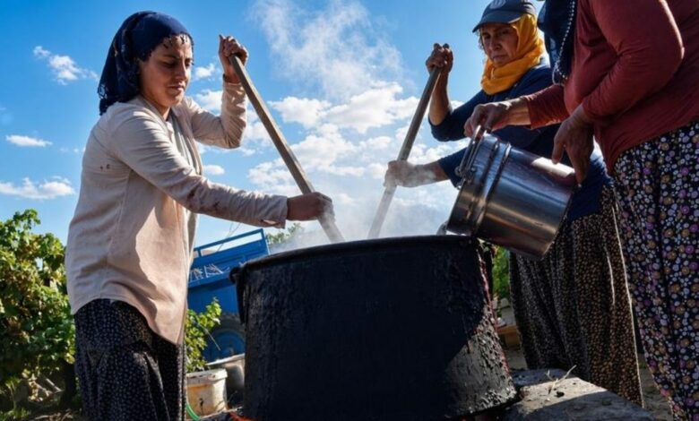 بدأ إنتاج أوريجيك كماليه.. حبات جوز تُغمس في شراب التوت والطلب يتجاوز تركيا
