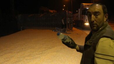 محاولة شرب الماء تقلب شاحنة في أماسيا التركية.. و25 طنًا من الذرة تغلق الطريق
