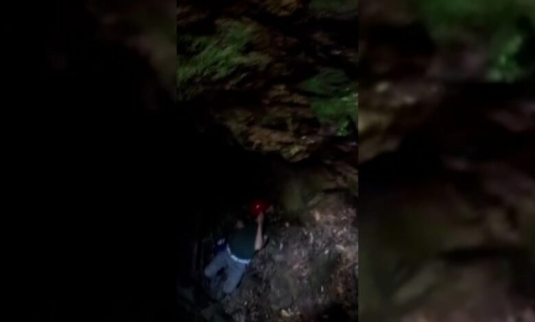 مسن تركي يسقط في حفرة عميقة أثناء تنزهه في غابة يالوفا