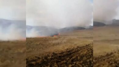حريق بسبب بقايا المحاصيل يلتهم 150 دونمًا من الأراضي العشبية في يوزغات