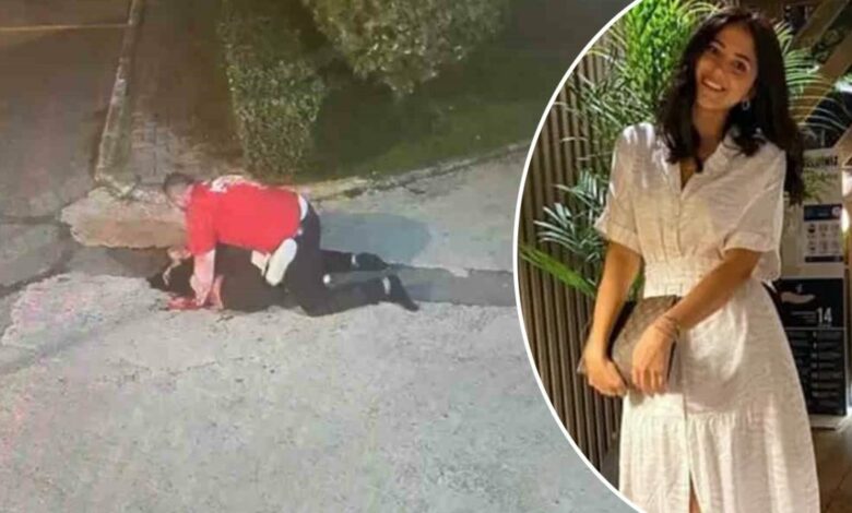 محكمة تركية تقضي بالمؤبد على رجل قتل خطيبته السابقة بخمس طعنات بعد تخفيف العقوبة