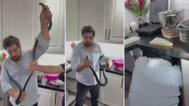 ثعبان أسود بطول مترين يختبئ في مطبخ منزل بهاتاي.. 4 ساعات وعضة