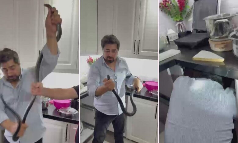 ثعبان أسود بطول مترين يختبئ في مطبخ منزل بهاتاي.. 4 ساعات وعضة