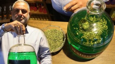 بعد تحويلها إلى مثلجات.. نبتة سيفاس التركية الشهيرة تدخل زجاجة الكولونيا
