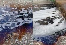 سائل أحمر يختلط بمياه بحر مرمرة قرب يالوفا.. والفحوص تحدد مصدره