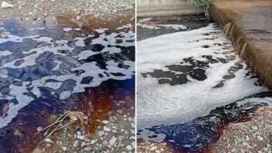 سائل أحمر يختلط بمياه بحر مرمرة قرب يالوفا.. والفحوص تحدد مصدره